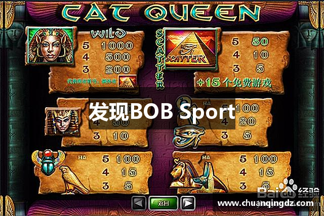 Bsports(中国)必一运动 - 体育生态服务平台